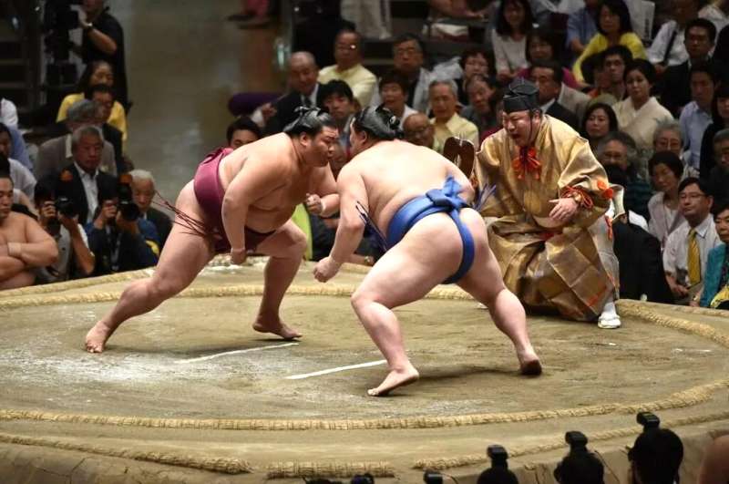 朝乃山復帰戦、白星の要因は?今後の見通しは?