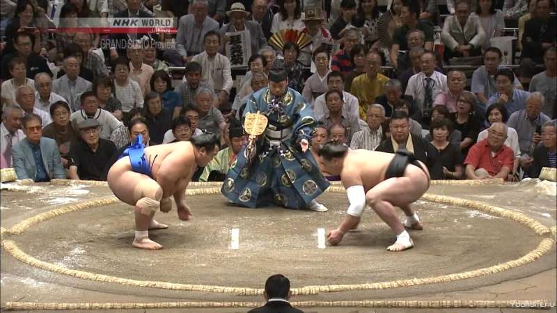 大相撲春場所2日目、大の里は2連勝!
