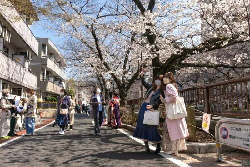 14日間続く暖冬、北日本は暴風警戒！東・西日本の天気は？
