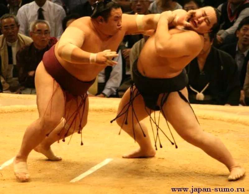 若元春の連勝、王鵬戦の結果と今後の展望は?