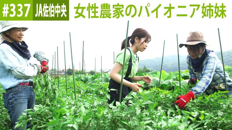 希望の9割落札!JA福井県、ニッポンの米の現状と今後の見通しは?