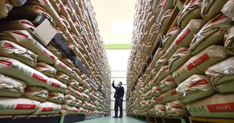 政府備蓄米の銘柄や価格は?いつ店頭に並ぶ?