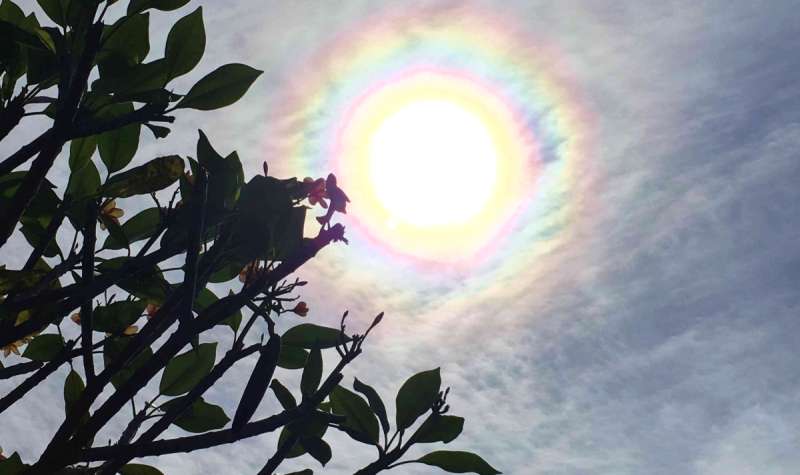 花粉症で虹色が見える?気象予報士の対策とは